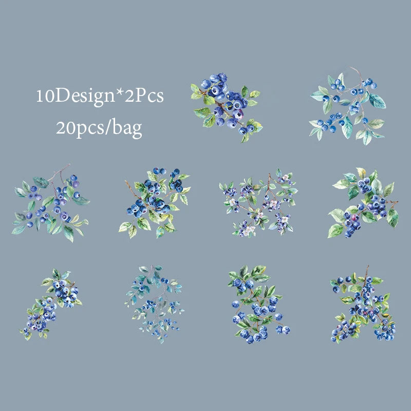 6Style 20Pcs/bag Fruit Full of Branches Series Shell Light Stickers Creative Material DIY Handbook Scrapbook Photo Frame