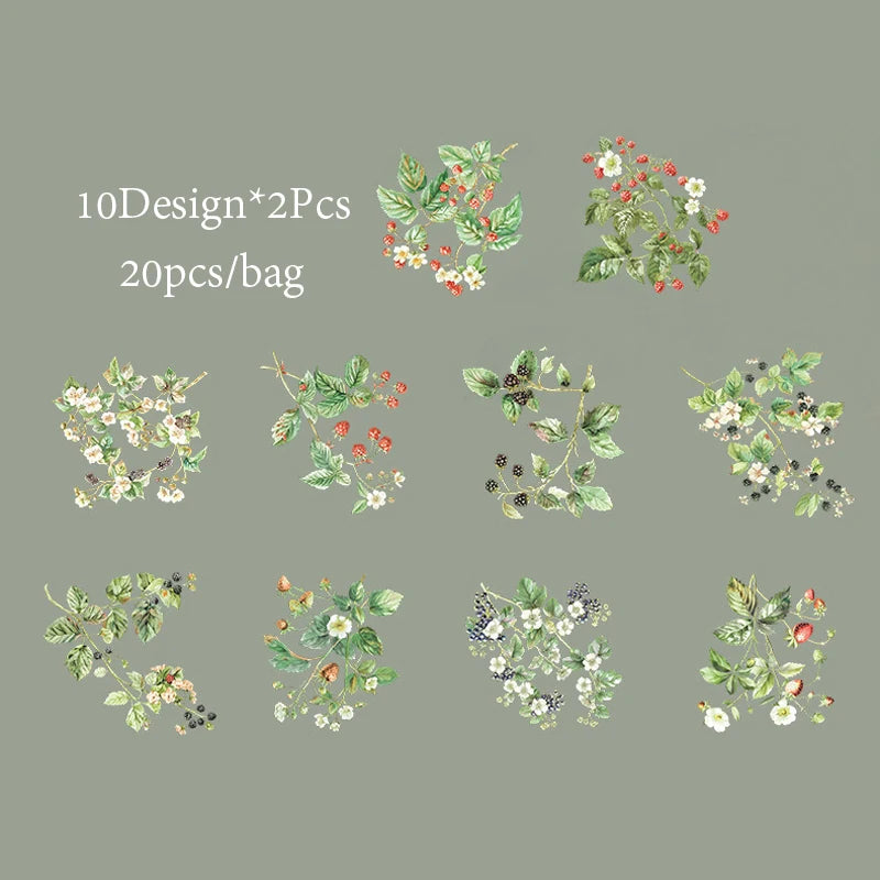 6Style 20Pcs/bag Fruit Full of Branches Series Shell Light Stickers Creative Material DIY Handbook Scrapbook Photo Frame