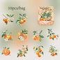 Mr. Paper10pcs/pack Strawberry PET Sticker Pack Fruit Sticker Decoration Scrapbook Photo Frame phone Case laptop Phone Case Gift
