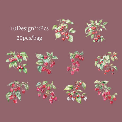 6Style 20Pcs/bag Fruit Full of Branches Series Shell Light Stickers Creative Material DIY Handbook Scrapbook Photo Frame