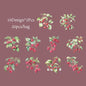 6Style 20Pcs/bag Fruit Full of Branches Series Shell Light Stickers Creative Material DIY Handbook Scrapbook Photo Frame