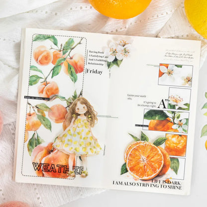 Mr. Paper10pcs/pack Strawberry PET Sticker Pack Fruit Sticker Decoration Scrapbook Photo Frame phone Case laptop Phone Case Gift
