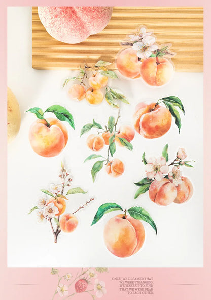 Mr. Paper10pcs/pack Strawberry PET Sticker Pack Fruit Sticker Decoration Scrapbook Photo Frame phone Case laptop Phone Case Gift
