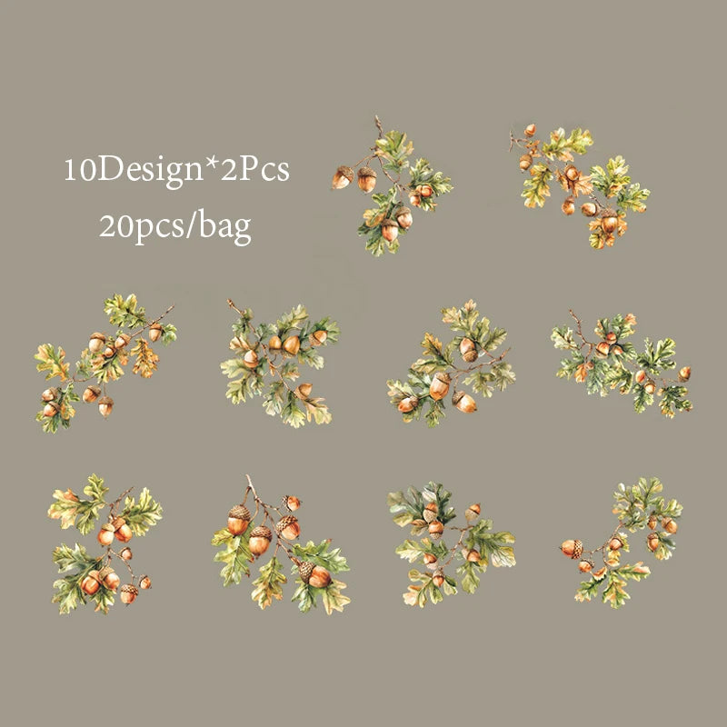 6Style 20Pcs/bag Fruit Full of Branches Series Shell Light Stickers Creative Material DIY Handbook Scrapbook Photo Frame