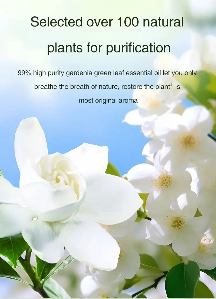 40ML Automatic Home Fragrance Machine Essential Oil Diffuser Nebulizer Perfume Scent Machine for Kitchen and toilet deodorizatio