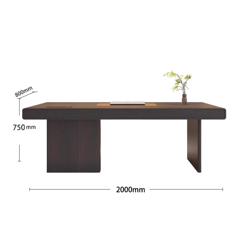 Spacious Ergonomic Office Desk Luxury European Design Standing Table Perfect Workstations Studios Muebles Oficina Mesa Furniture